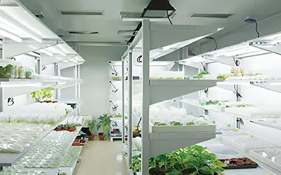 Pideva temperatuuri ja kontrolli planeerimisega laboratoorium